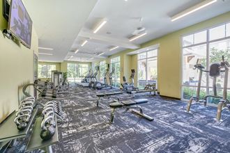 the gym is equipped with a variety of weights and cardio equipment