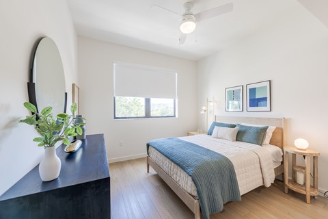 A bedroom with a bed, a dresser, a mirror, and a plant.