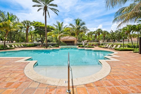 A pool surrounded by palm trees and a tile patio.