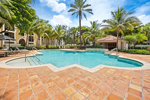 A pool surrounded by palm trees and a tiled patio.