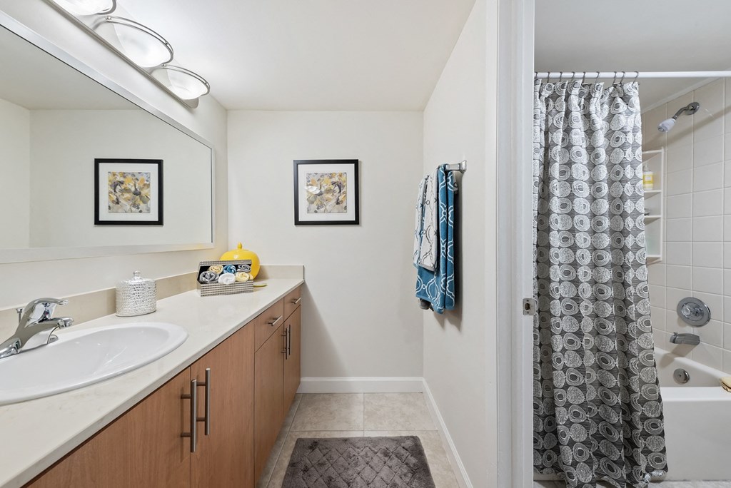 a bathroom with a shower and a sink and a mirror
