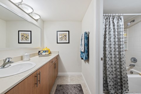 a bathroom with a shower and a sink and a mirror