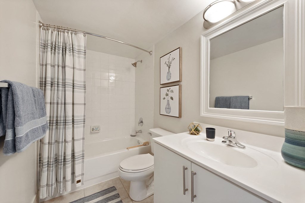 a bathroom with a shower toilet and sink and a mirror