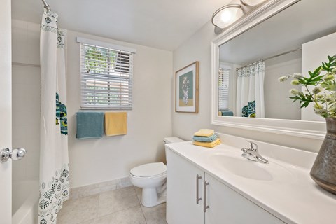 a bathroom with a toilet and a sink and a mirror
