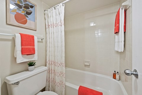 a bathroom with a shower and a toilet and a bath tub