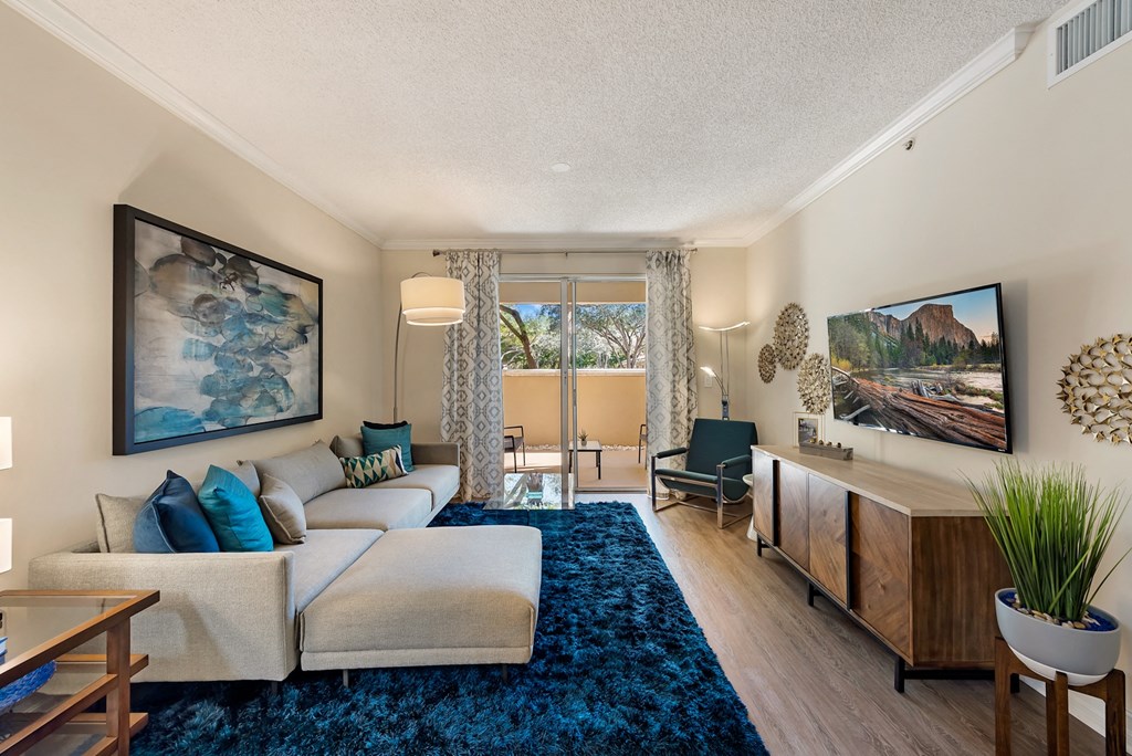 a living room with a couch and a rug