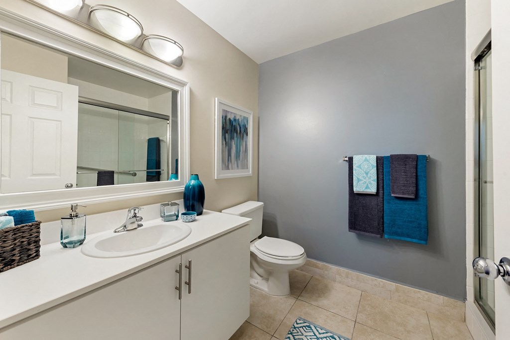 a bathroom with a sink and a toilet and a mirror
