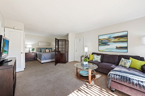 our apartments offer a living room with a couch and a tv