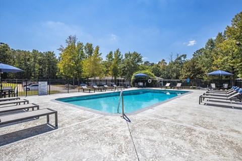 A large outdoor swimming pool surrounded by trees and lounge chairs.