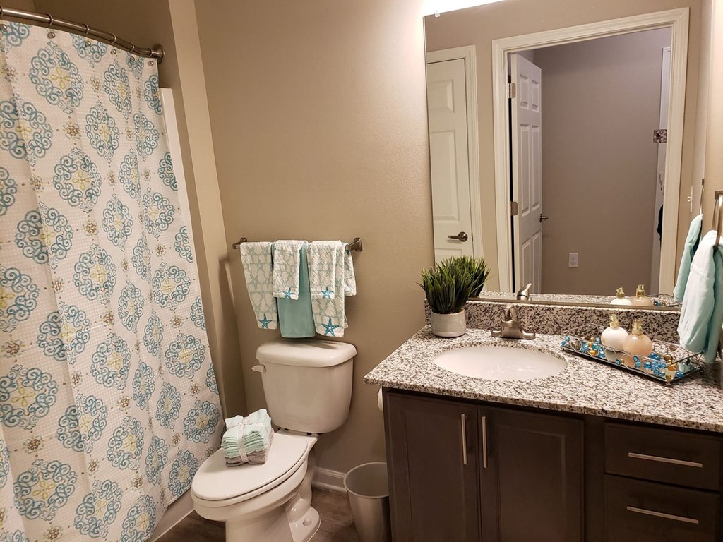 a bathroom with a shower toilet and sink and a mirror