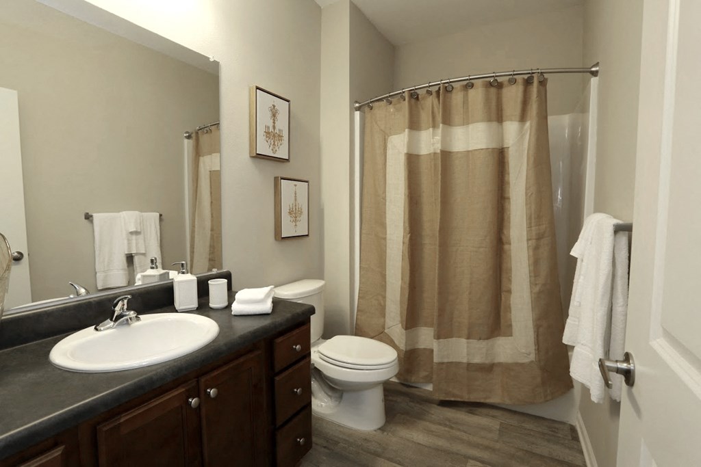 a bathroom with a sink and a toilet and a shower