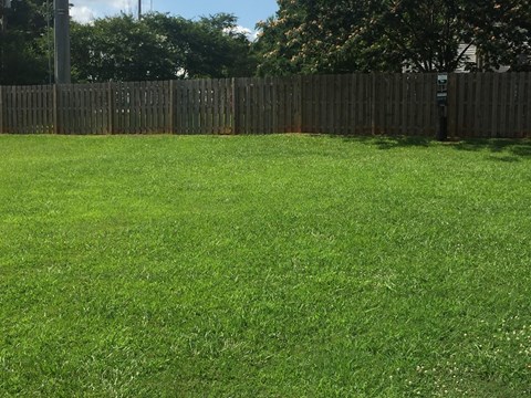green space