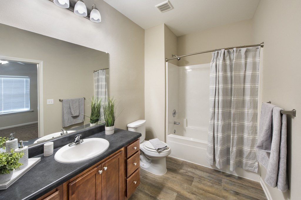 a bathroom with a sink and a shower and a toilet