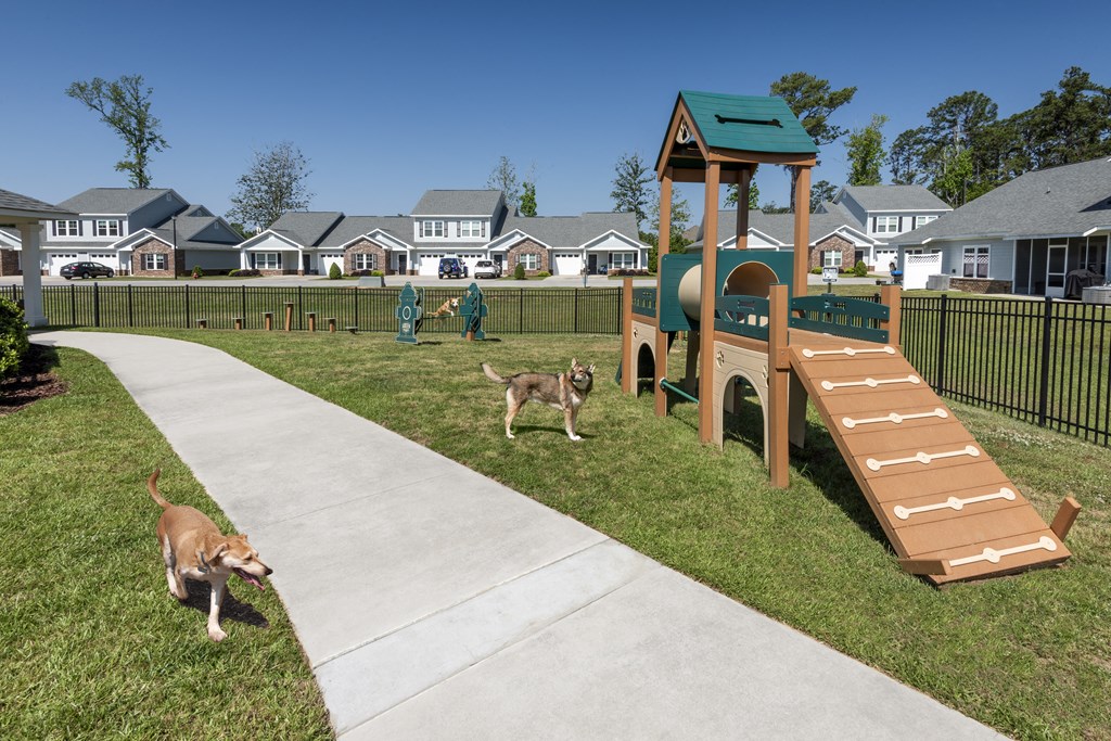 two dogs playing in a park near a playground