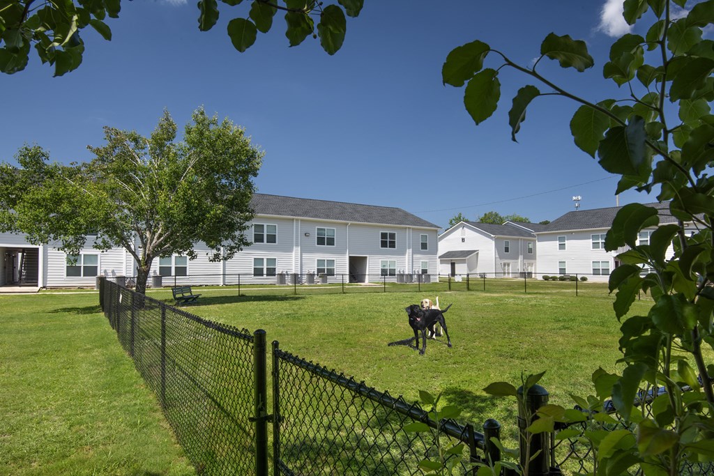a dog walking in a field in front of houses