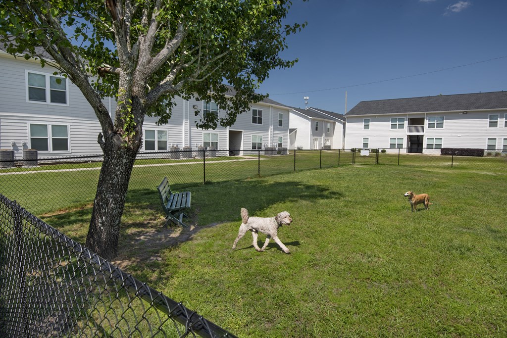 two dogs running in a fenced dog park in front of houses