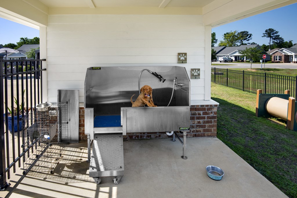 a dog sitting in a hot tub on a patio