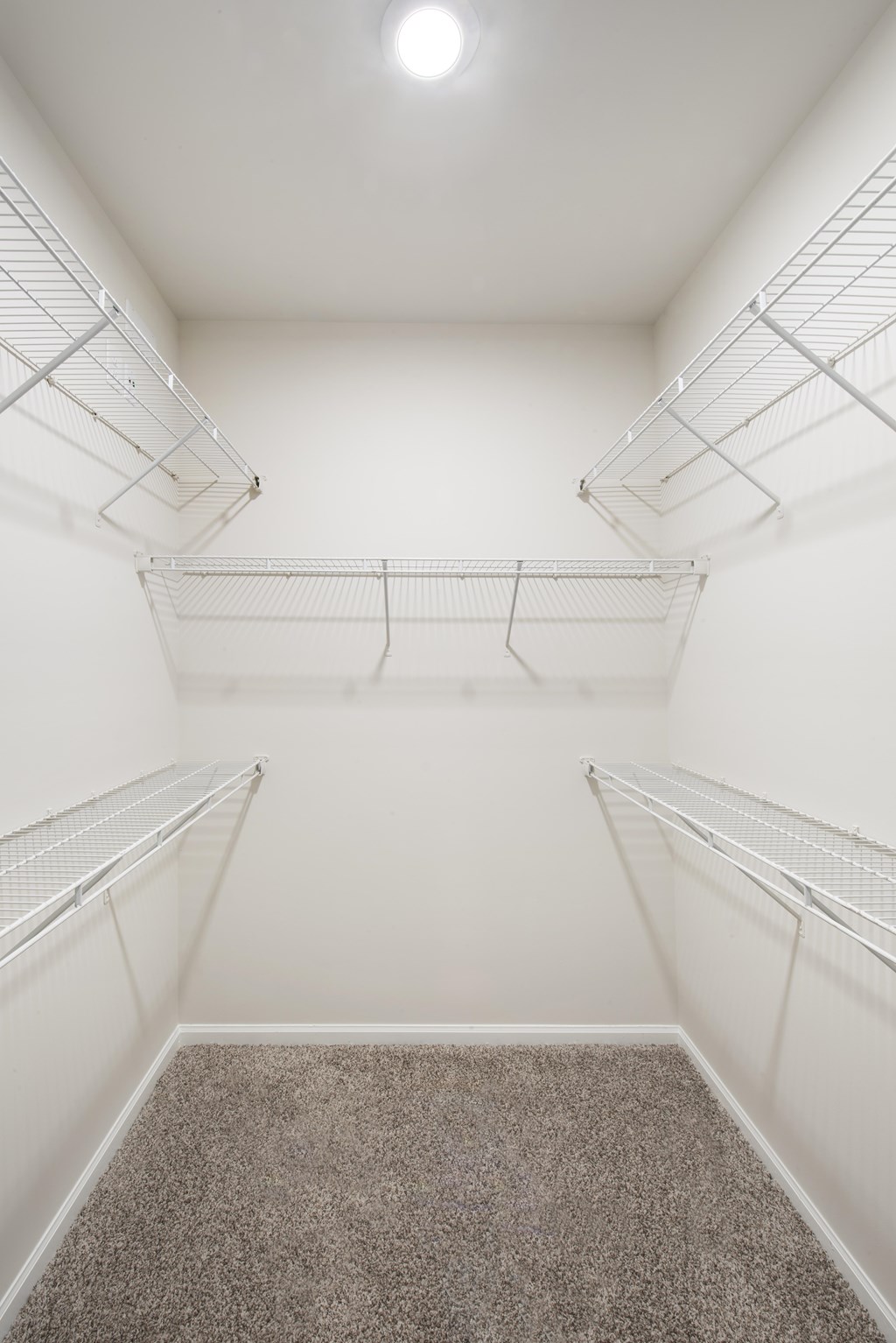 Empty walk-in closet with white walls and carpeted floor.