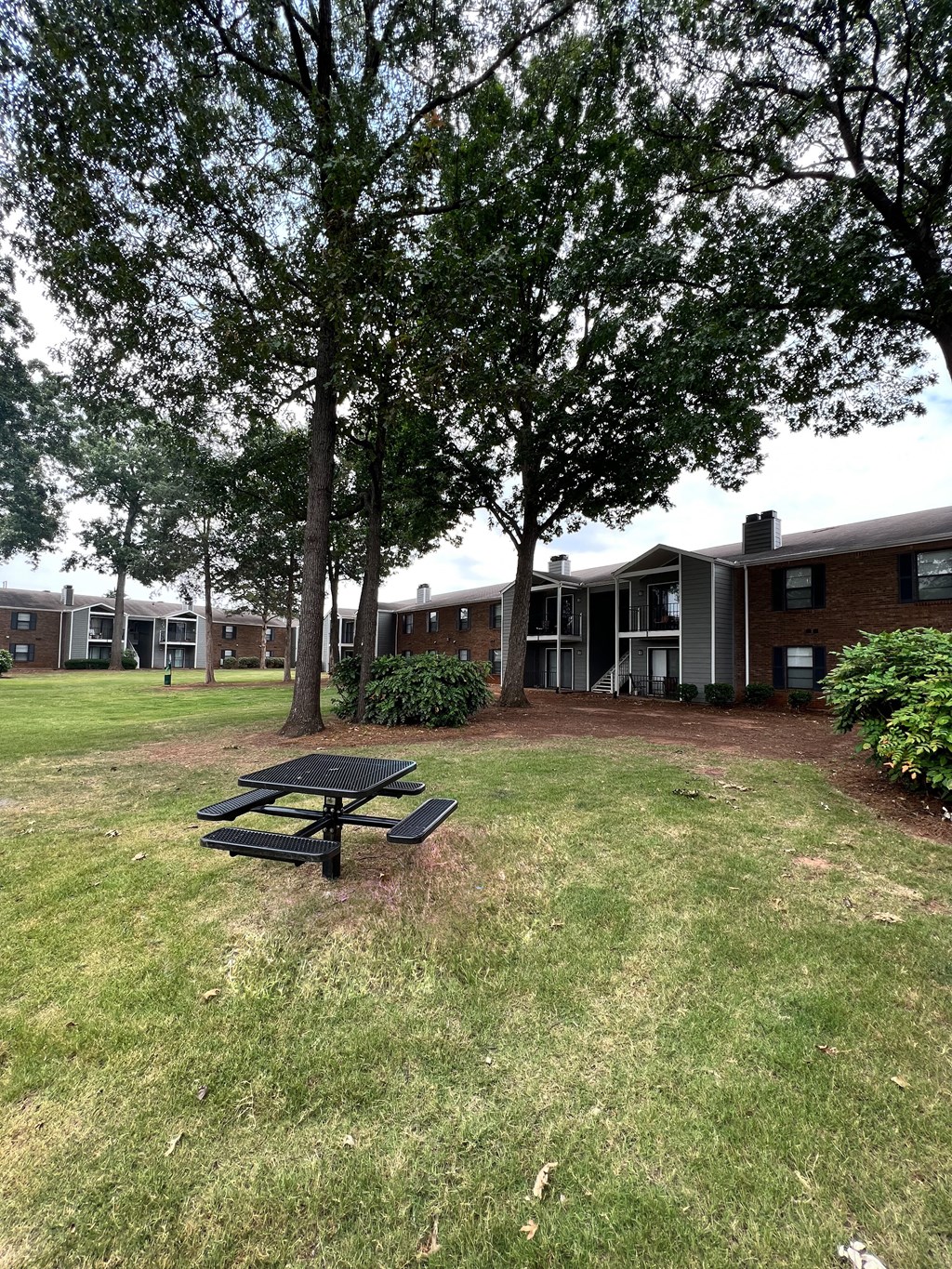 A black picnic table is in the middle of a grassy area.