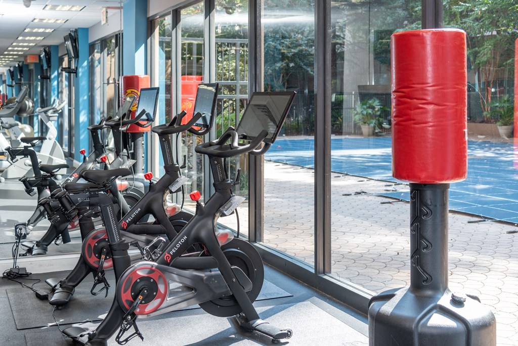 a row of spin bikes in a gym