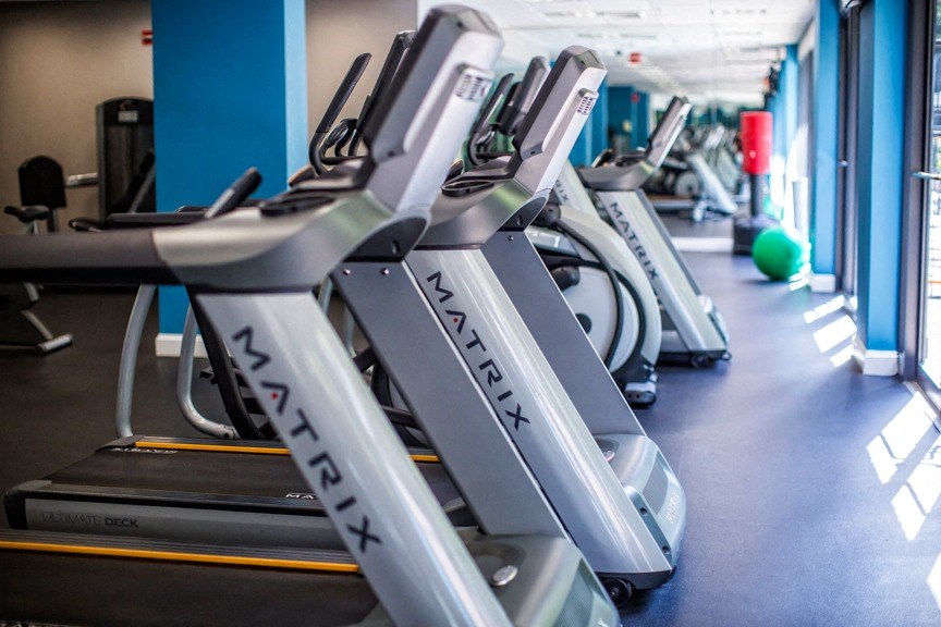 a row of cardio machines in a gym