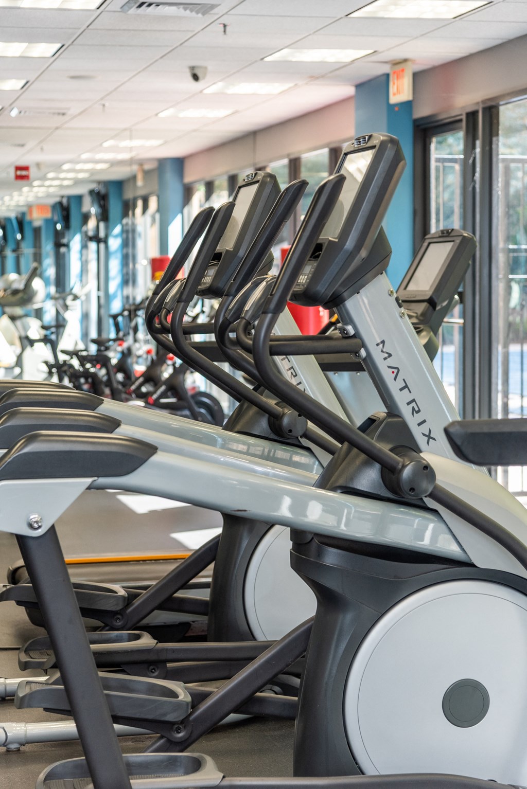 a row of cardio machines in a gym