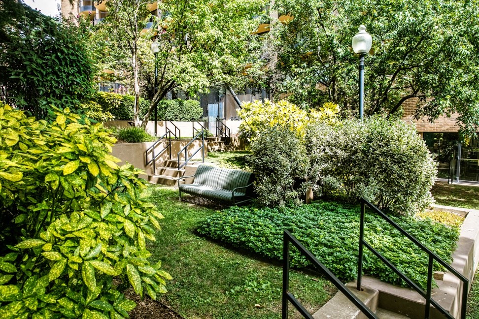 a backyard with stairs and a lawn and trees