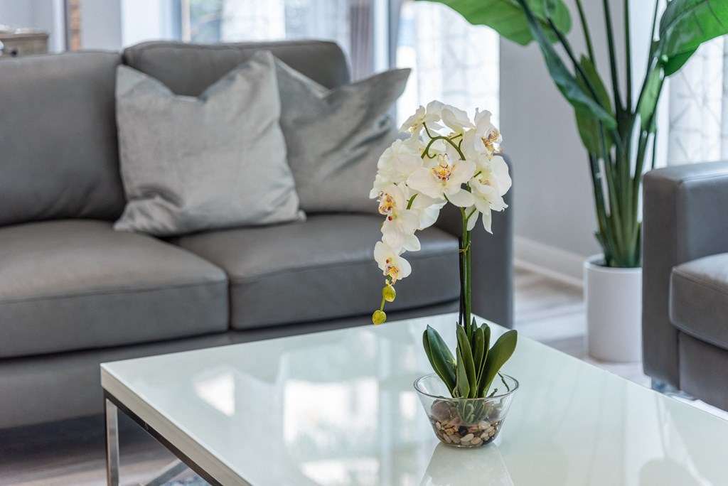 an orchid on a coffee table in a living room with a couch