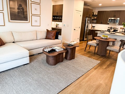 A modern living room with a white couch and a grey rug.
