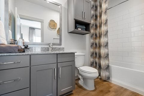 a bathroom with gray cabinets and a toilet and a shower curtain