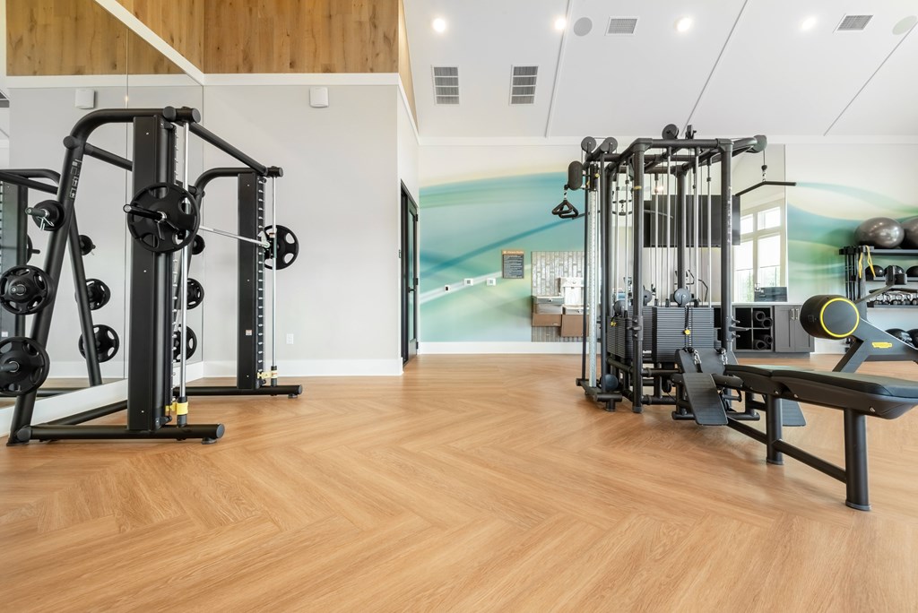 A gym with a variety of equipment including a squat rack, a leg press machine, and a bench press.