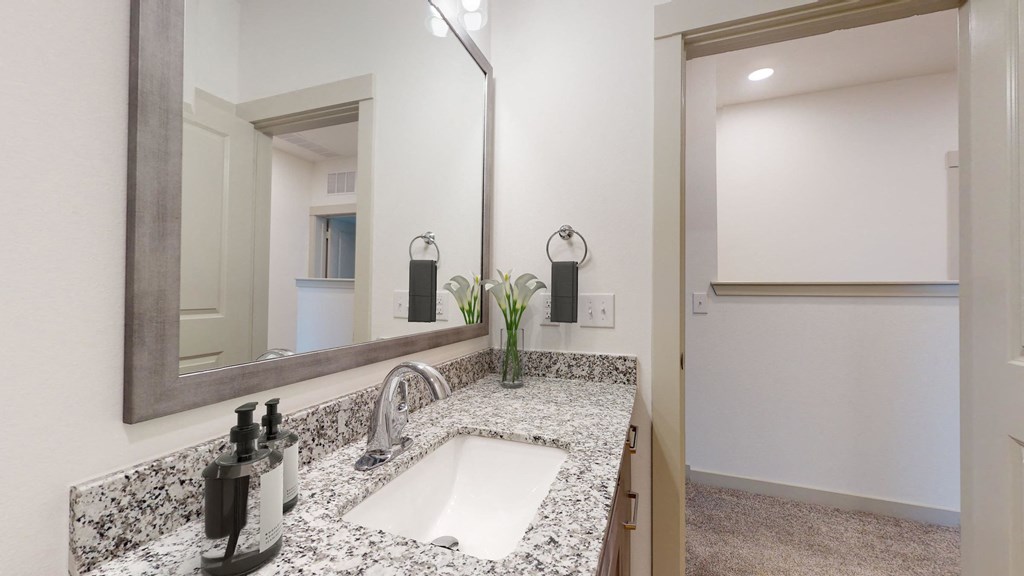 a bathroom with a sink and a mirror