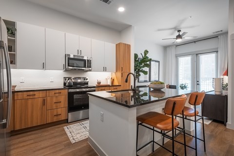 3035 North Tryon Street Studio-2 Beds Apartment for Rent