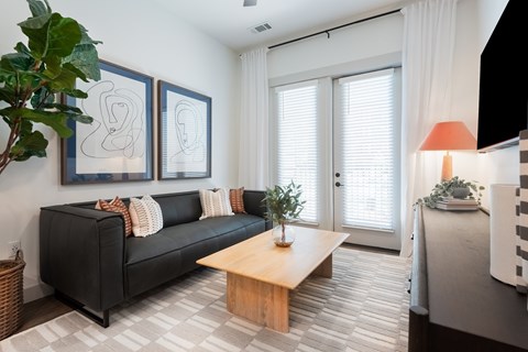 3035 North Tryon Street Studio-2 Beds Apartment for Rent