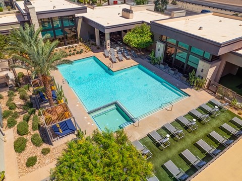A large swimming pool surrounded by lounge chairs and palm trees.