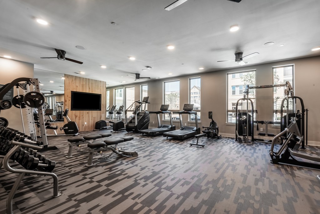 A spacious gym with a variety of equipment including treadmills, weights, and a television.
