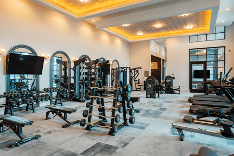 A well-equipped gym with a variety of machines and weights.