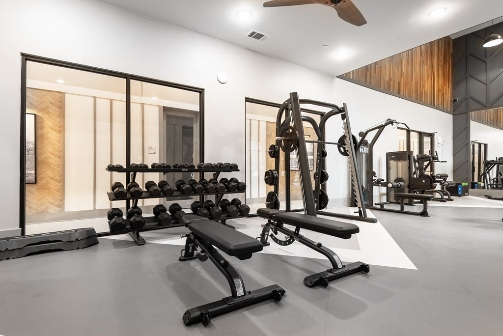 Gym With Free Weights, Benches, And Squat Rack