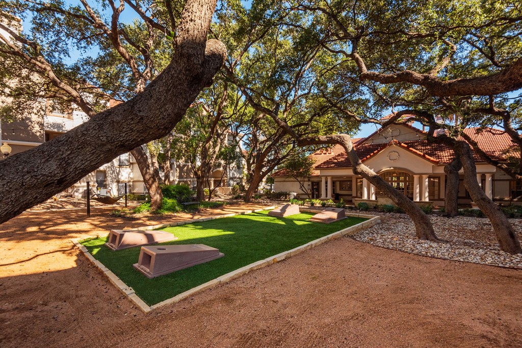 a yard with grass and trees in front of a house  at Hayden on West Ave, San Antonio, TX