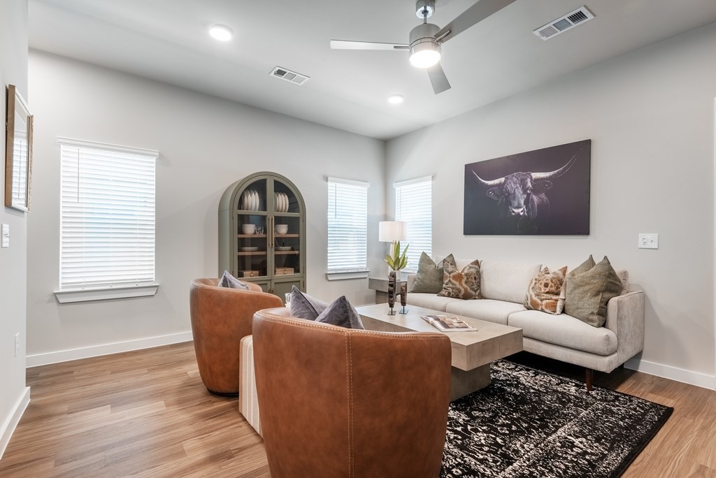 A living room with a white couch, a brown chair, and a black and white rug.