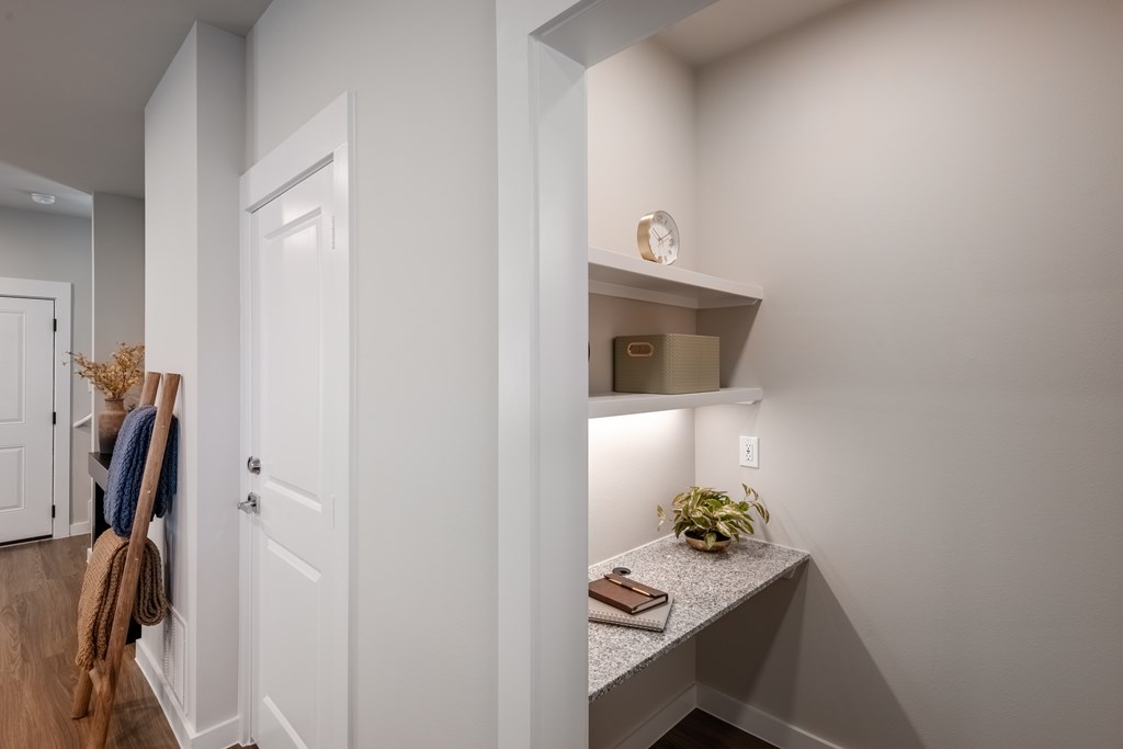 A white door with a plant on the counter.