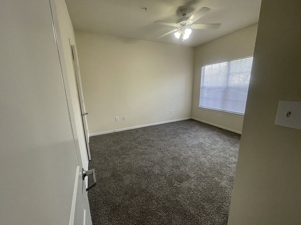 A room with a ceiling fan and carpeted floor.