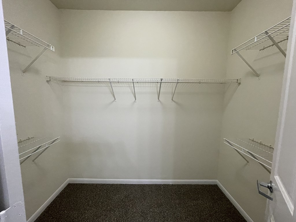 Empty walk-in closet with shelves and carpeted floor.
