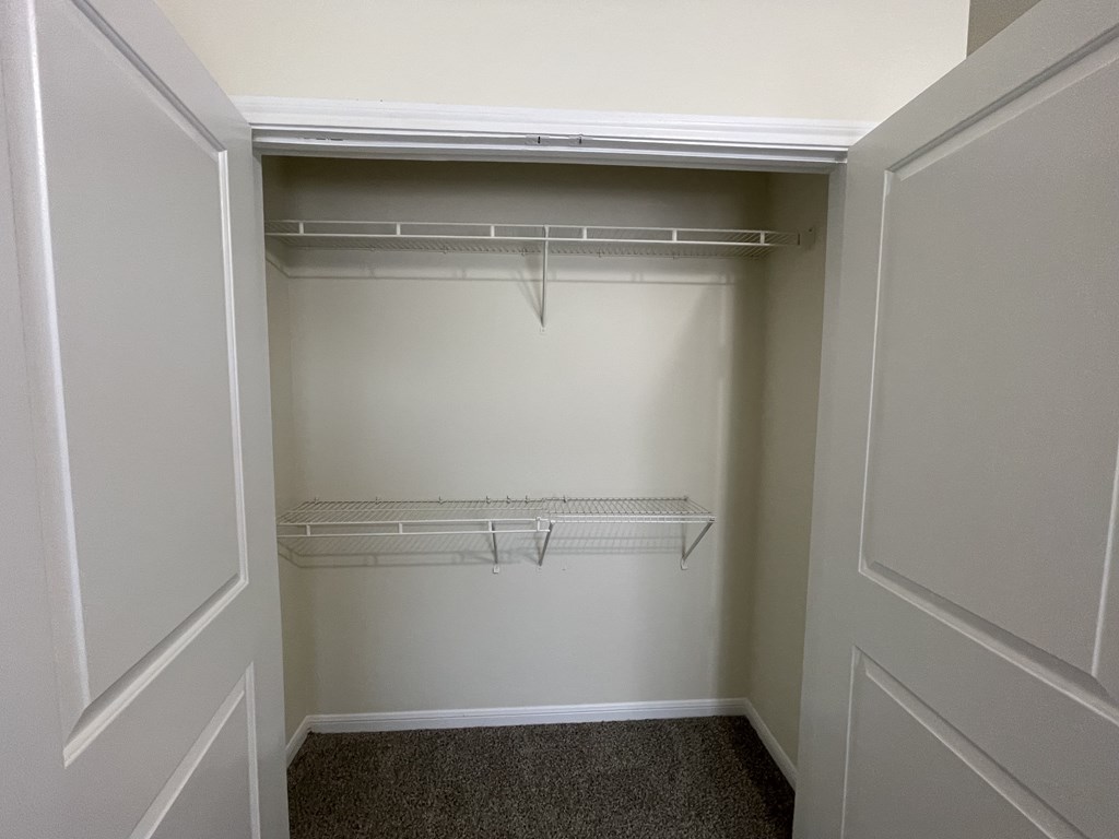 A white closet with a shelf and a carpeted floor.