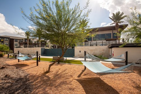 A playground with a slide and a tree in the foreground.