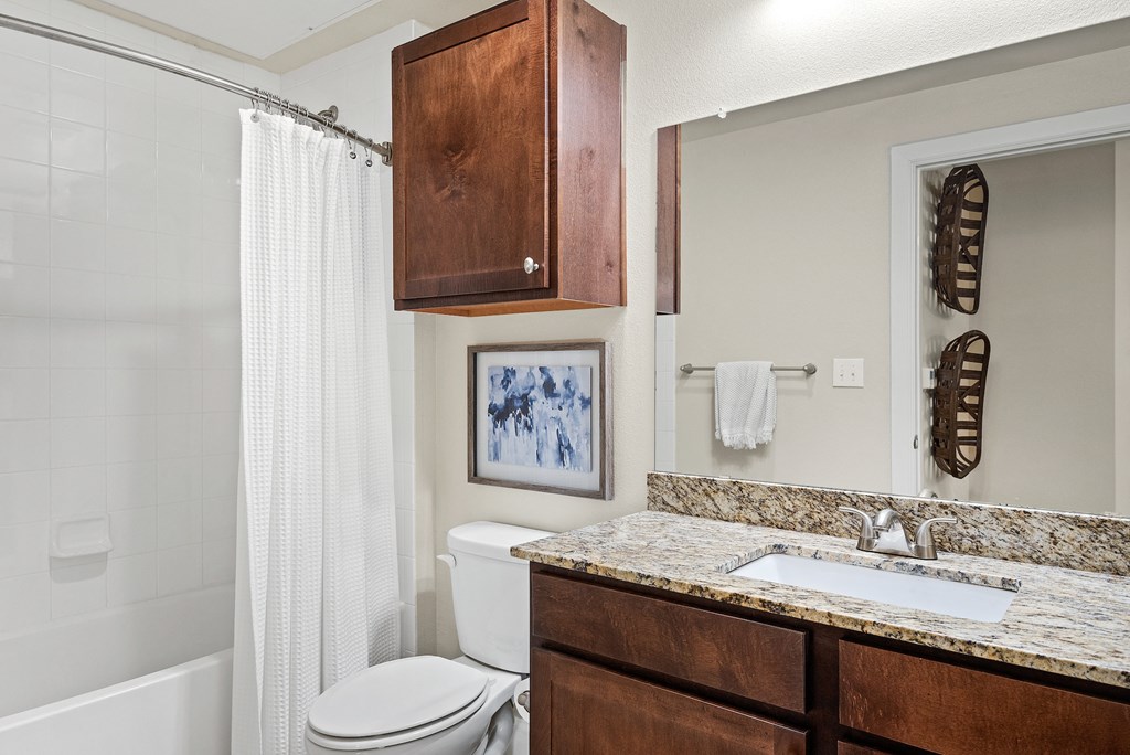 a bathroom with a shower toilet and sink and a mirror