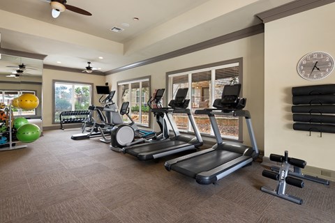 the gym at the preserve at polo ridge apartments fl