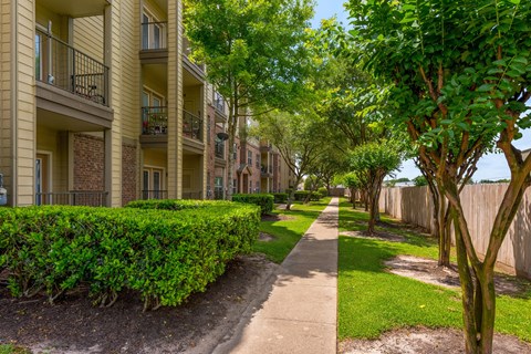 a tree lined sidewalk in front of an apartment building