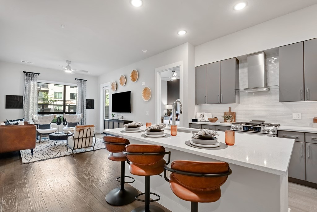 B1 Kitchen and Living