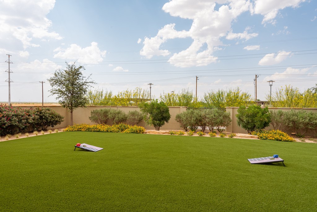 a large lawn with two trampolines in the middle of it